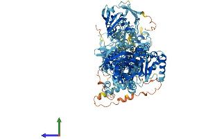AlphaFold protein structure predicition of Mouse Recombinant Atp8a2 Protein, UniprotID P98200 (ATP8A2 Protein (AA 1-1148) (His tag))