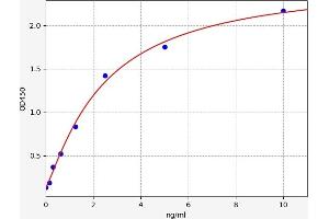 Typical standard curve (FKBPL ELISA Kit)