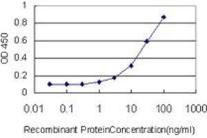 Detection limit for recombinant GST tagged GABPA is approximately 1ng/ml as a capture antibody. (GABPA antibody  (AA 1-454))