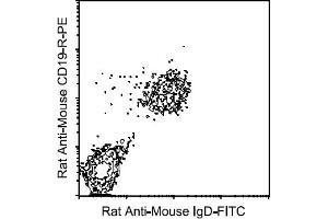 Flow Cytometry (FACS) image for Rat anti-Mouse IgD antibody (FITC) (ABIN356119) (Rat anti-Mouse IgD Antibody (FITC))