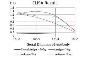 Black line: Control Antigen (100 ng), Purple line: Antigen(10 ng), Blue line: Antigen (50 ng), Red line: Antigen (100 ng), (RING1 antibody  (AA 79-263))