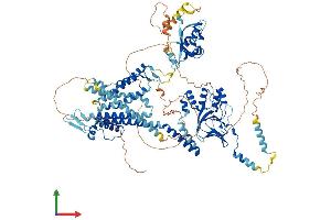 AlphaFold protein structure predicition of Human Recombinant KCNH5 Protein, UniprotID Q8NCM2