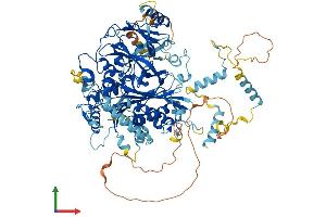 AlphaFold protein structure predicition of Mouse Recombinant Fig4 Protein, UniprotID Q91WF7