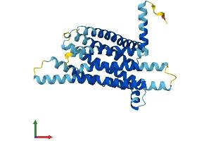 AlphaFold protein structure predicition of Human Recombinant TAS2R31 Protein, UniprotID P59538 (TAS2R31 Protein (AA 1-309) (His tag))