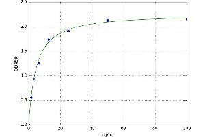 A typical standard curve