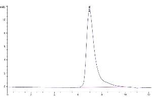 The purity of Mouse ITGB6 is greater than 95 % as determined by SEC-HPLC. (ITGB6 Protein (AA 22-706) (His tag))