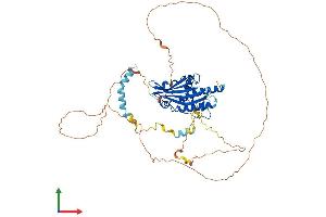 Protein Structure (PS) image for Autophagy Related 13 (ATG13) (AA 1-517) protein (His tag) (ABIN7552537)