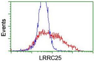 HEK293T cells transfected with either RC209911 overexpress plasmid (Red) or empty vector control plasmid (Blue) were immunostained by anti-LRRC25 antibody (ABIN2455887), and then analyzed by flow cytometry. (LRRC25 antibody)