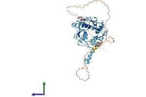 AlphaFold protein structure predicition of Human Recombinant ZNF454 Protein, UniprotID Q8N9F8