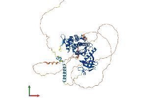 AlphaFold protein structure predicition of Mouse Recombinant Dyrk1b Protein, UniprotID Q9Z188