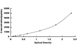 Typical standard curve