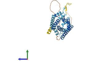 Protein Structure (PS) image for Protein Tyrosine Phosphatase-Like (Proline Instead of Catalytic Arginine), Member A (PTPLA) (AA 1-288) protein (His tag) (ABIN7554060)