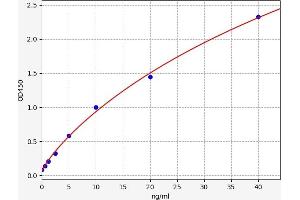 Typical standard curve (CERK ELISA Kit)