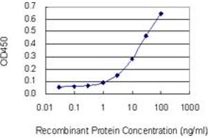 Detection limit for recombinant GST tagged SYT11 is 0. (SYT11 antibody  (AA 84-139))