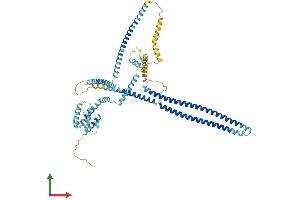 AlphaFold protein structure predicition of Mouse Recombinant Ccdc93 Protein, UniprotID Q7TQK5 (CCDC93 Protein (AA 1-629) (His tag))