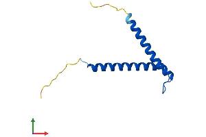 Protein Structure (PS) image for Translocase of Inner Mitochondrial Membrane 8A (TIMM8A) (AA 1-97) protein (His tag) (ABIN7544507)