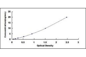 Typical standard curve (DPP10 ELISA Kit)