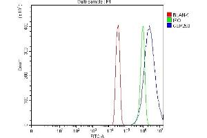 Flow Cytometry analysis of SiHa cells using anti-CEP250 antibody (ABIN7602053). (CEP250 antibody  (AA 563-853))