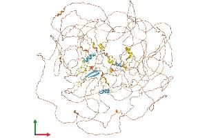 AlphaFold protein structure predicition of Human Recombinant AHDC1 Protein, UniprotID Q5TGY3 (AHDC1 Protein (AA 1-1603) (His tag))