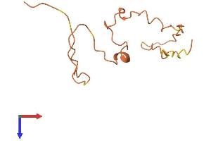 Keratin Associated Protein 12-4 (KRTAP12-4) (AA 1-112) protein (His tag)