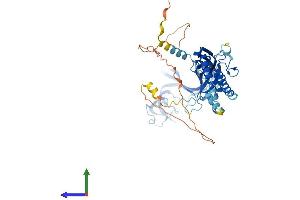 AlphaFold protein structure predicition of Mouse Recombinant P2rx2 Protein, UniprotID Q8K3P1 (P2RX2 Protein (AA 1-485) (His tag))