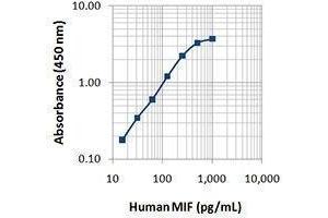ELISA image for anti-Macrophage Migration Inhibitory Factor (Glycosylation-Inhibiting Factor) (MIF) antibody (ABIN2665272) (MIF antibody)