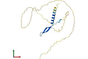 AlphaFold protein structure predicition of Mouse Recombinant Bcl7a Protein, UniprotID Q9CXE2 (BCL7A Protein (AA 1-210) (His tag))