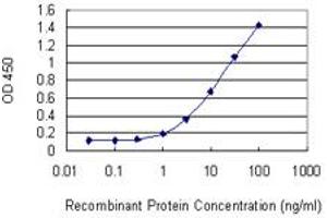 Detection limit for recombinant GST tagged SLMAP is 0. (SLMAP antibody  (AA 677-784))