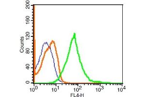 Flow Cytometry (FACS) image for anti-Nerve Growth Factor Receptor (NGFR) (AA 301-400) antibody (AbBy Fluor® 647) (ABIN908261)