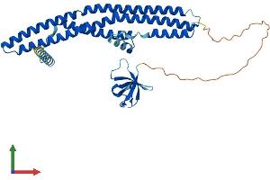 Protein Structure (PS) image for SH3-Domain GRB2-Like Endophilin B1 (SH3GLB1) (AA 1-365) protein (His tag) (ABIN7555504)