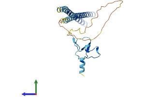 Protein Structure (PS) image for Inhibitor of Growth Family, Member 5 (ING5) (AA 1-240) protein (His tag) (ABIN7548531)