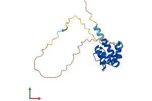AlphaFold protein structure predicition of Human Recombinant PLAC8L1 Protein, UniprotID A1L4L8