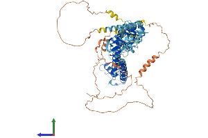 AlphaFold protein structure predicition of Mouse Recombinant Cngb3 Protein, UniprotID Q9JJZ9