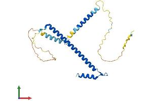 Protein Structure (PS) image for Coiled-Coil Domain Containing 59 (CCDC59) (AA 1-241) protein (His tag) (ABIN7544162)