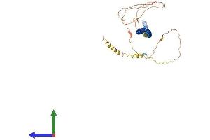 AlphaFold protein structure predicition of Human Recombinant GOLM1 Protein, UniprotID Q8NBJ4 (GOLM1 Protein (AA 1-401) (His tag))