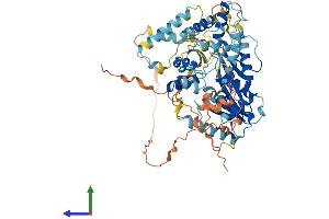 AlphaFold protein structure predicition of Mouse Recombinant Pogk Protein, UniprotID Q80TC5