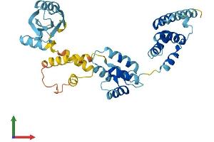 Protein Structure (PS) image for Modulator of Apoptosis 1 (MOAP1) (AA 1-351) protein (His tag) (ABIN7549421)