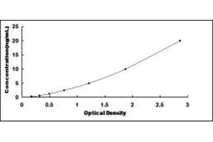 Typical standard curve (SUZ12 ELISA Kit)