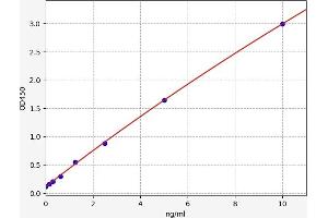 SLC2A3 ELISA Kit