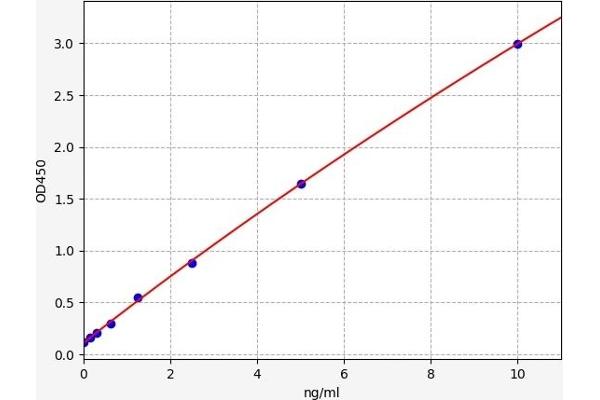 SLC2A3 ELISA Kit