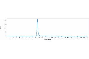 The purity of Anti-IL-6 / IFNb2 Reference Antibody (clazakizumab) is 100 % , determined by SEC-HPLC. (Recombinant IL6 (Clazakizumab Biosimilar) antibody)
