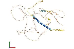 AlphaFold protein structure predicition of Human Recombinant SPEM2 Protein, UniprotID Q0P670 (C17orf74 Protein (AA 1-501) (His tag))