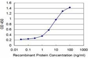 Detection limit for recombinant GST tagged TP53RK is approximately 0. (TP53RK antibody  (AA 154-253))