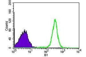 Flow cytometric analysis of HEK293 cells using WHSC2 mouse mAb (green) and negative control (purple). (WHSC2 antibody  (AA 280-511))