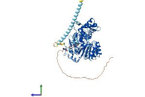 Protein Structure (PS) image for RecQ Protein-Like (DNA Helicase Q1-Like) (RECQL) (AA 1-648) protein (His tag) (ABIN7556371)