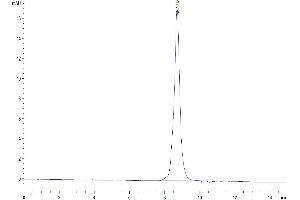 The purity of Cynomolgus/Rhesus macaque 4-1BB is greater than 95 % as determined by SEC-HPLC. (CD137 Protein (AA 24-186) (His tag))