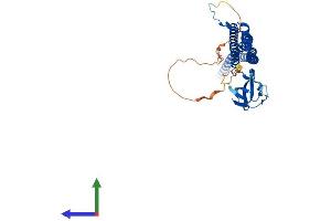 AlphaFold protein structure predicition of Human Recombinant PSTPIP1 Protein, UniprotID O43586
