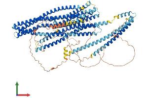 AlphaFold protein structure predicition of Mouse Recombinant Evc Protein, UniprotID P57680 (EVC Protein (AA 1-1005) (His tag))