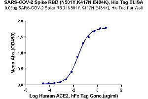 Immobilized SARS-COV-2 Spike RBD (N501Y,K417N,E484K), His Tag at 0. (SARS-CoV-2 Spike Protein (E484K, K417N, N501Y, RBD) (His tag))