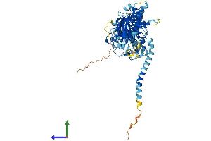 AlphaFold protein structure predicition of Human Recombinant DGKE Protein, UniprotID P52429